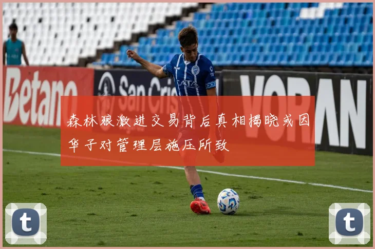 森林狼激进交易背后真相揭晓或因华子对管理层施压所致